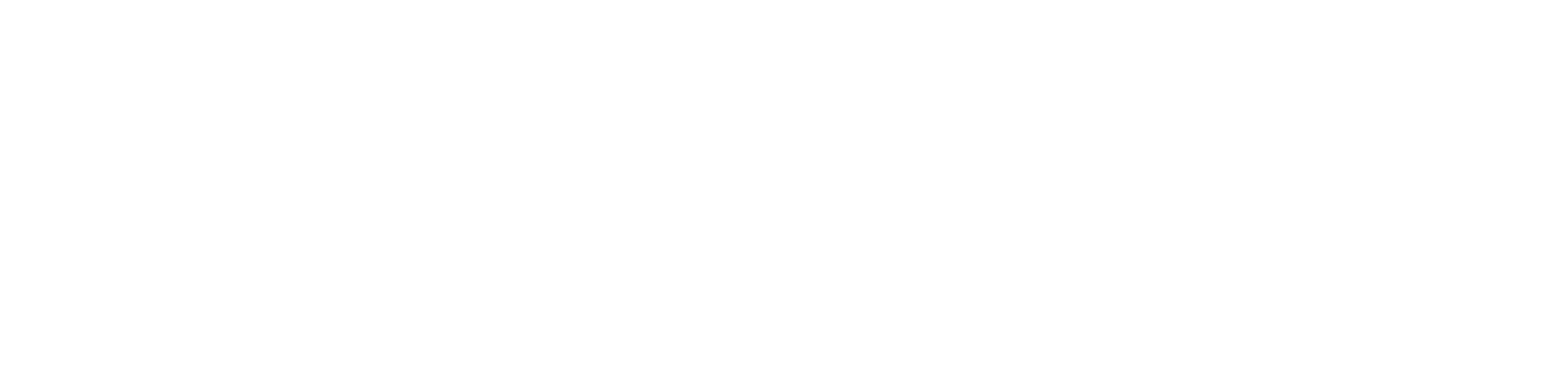 Hoelting & Company, Inc. — Certified Public Accountants