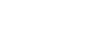 Hoelting & Company, Inc. — Certified Public Accountants